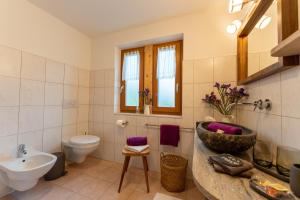 een badkamer met een wastafel en een toilet bij Panorama Apartment Raffeinhof in Santa Valpurga