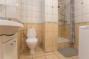 a bathroom with a toilet and a sink and a shower at Happy Bison - A 5 Bedroom House With A Garden in Białowieża +21 photos