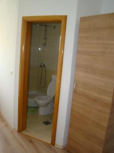 a bathroom with a toilet and a bath tub at Pansion Ivan in Međugorje
