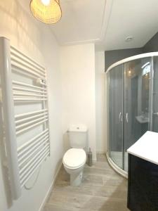 a bathroom with a toilet and a glass shower at Chalet de 3 chambres a Le Devoluy a 200 m des pistes avec piscine partagee sauna et terrasse in Le Dévoluy