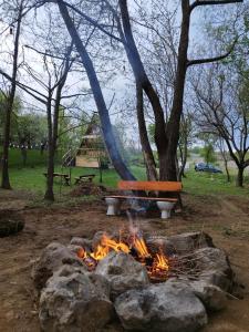 una hoguera en un parque con rocas en OLD CHALET, en Bîltişoara