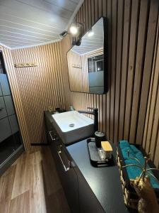 La salle de bains est pourvue d'un lavabo et d'un miroir. dans l'établissement Gîte Le Sambre, à Thuin