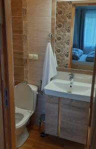 ein Badezimmer mit einem WC, einem Waschbecken und einem Spiegel in der Unterkunft U Hani in Bańska Wyżna