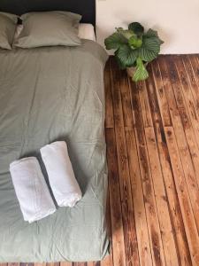 1 cama con 2 almohadas y una planta en el suelo de madera en Cozy attic apartment, en Amberes