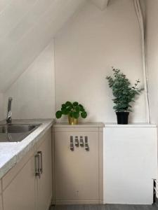 una cocina con fregadero y macetas en una encimera en Cozy attic apartment, en Amberes
