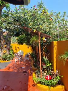 Giardino di Hostal Mi lugar Vintage