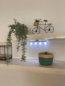 a shelf with two plants and a bike on it at Taufrische Ferienwohnung Würzburg in Zell am Main