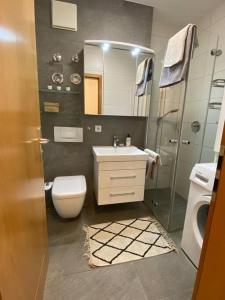 a bathroom with a toilet and a sink and a shower at Taufrische Ferienwohnung Würzburg in Zell am Main