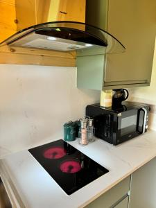 een keuken met een magnetron en een fornuis top oven bij Glenariff Forest Larch Cabin in Glenariff