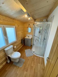 a bathroom with a toilet and a shower at Glenariff Forest Larch Cabin in Glenariff +6 photos
