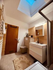 a bathroom with a sink and a toilet and a skylight at Wohnen im Schwarzwald mit Panoramablick in Bad Herrenalb