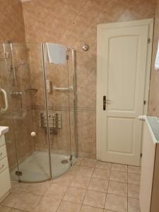 a shower with a glass door in a bathroom at Pátria Panzió in Eger