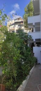 a large green bush in front of a building at F2 duplex plages et promenades in Annaba