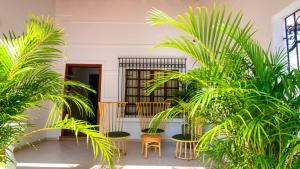 um pátio com cadeiras e plantas num edifício em Casa Palmar Cartagena em Cartagena das Índias