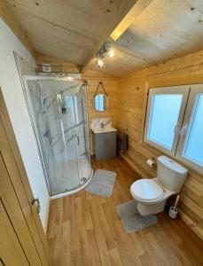 a small bathroom with a toilet and a shower at Glenariff Forest Pine Cabin in Glenariff