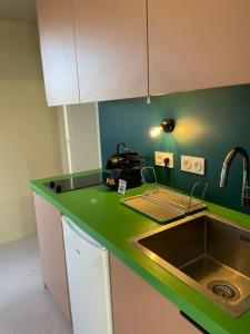 eine Küche mit einem Waschbecken und einer grünen Arbeitsplatte in der Unterkunft Charmant Studio avec parking - Confort Moderne in Bourges