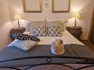 - une chambre avec un lit et des oreillers dans l'établissement Cacciatrici di orizzonti casa vacanze, à Lanuvio