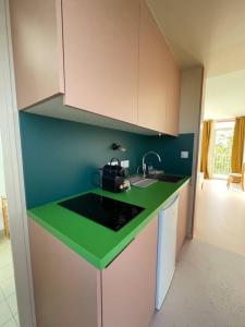 eine Küche mit einer grünen Arbeitsplatte und einem Waschbecken in der Unterkunft Charmant Studio avec parking - Confort Moderne in Bourges