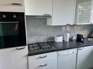 Stylish Youthful Condo in the Heart of Mödling, Fiatalos Boldog Otthon Mödling Szivébenにあるキッチンまたは簡易キッチン