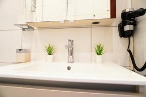 ein Waschbecken mit zwei Topfpflanzen darauf in der Unterkunft ☆Nostalgie Apartment I Innenstadt I Smart TV I Küche in Kaiserslautern