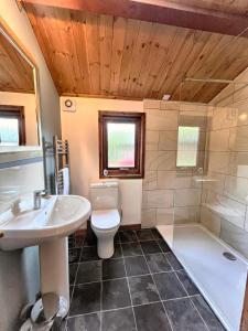 a bathroom with a sink and a toilet and a shower at Snowdrop 13-Hot Tub-Woodlandlodges-Carmarthenshire in Carmarthen