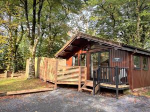 uma pequena cabana com um alpendre na floresta em Snowdrop 13-Hot Tub-Woodlandlodges-Carmarthenshire em Carmarthen