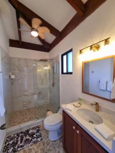 a bathroom with a toilet and a sink and a shower at Casa de Encanto Tropical Villa in Playa Hermosa