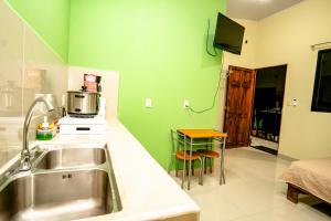 cocina con fregadero y paredes verdes en Apartamento Aliga 1, en Quepos