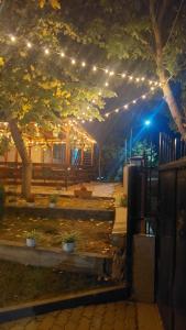einen beleuchteten Park in der Nacht mit Lichtern in der Unterkunft Pensiunea Happy Flowers in Greci