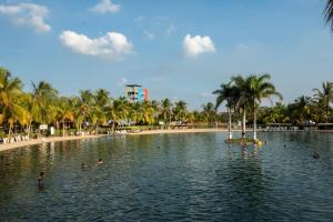 personas nadando en una piscina en una playa con palmeras en Playa Hawai Ibague, en Ibagué