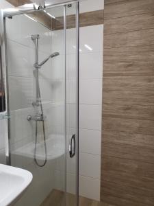 a shower with a glass door next to a sink at Apartament Suzi in Grzybowo