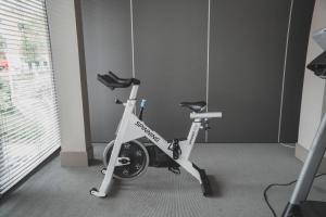 Fitness centrum a/nebo fitness zařízení v ubytování Zenit San Sebastián