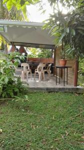 Um jardim no exterior de Philippe & Arlette SMITH
