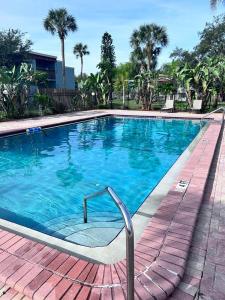 a large swimming pool with blue water and palm trees at The Tulip by DNY Prime in Tampa