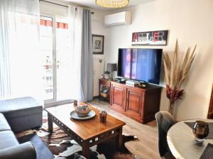 a living room with a couch and a tv at Le balcon de la basse centre ville de Perpignan in Perpignan