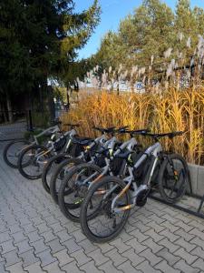 Jazda na bicykli v okolí ubytovania Kotula
