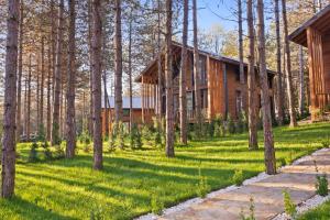 a log cabin in the woods with trees at Harmony Green Village Resort in Mahmudiye