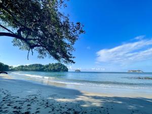 a view of a beach with a tree on it at Apartamento Aliga 2 in Quepos