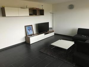 ein Wohnzimmer mit einem Sofa und einem TV in der Unterkunft Appartement haut standing 