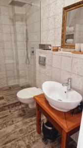 a bathroom with a sink and a toilet at Villa Westfalia Guest House in Tîrgu Secuiesc