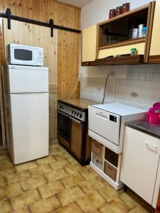 una cucina con frigorifero bianco e forno a microonde di Alloggio Turistico Casa di Luca e Vale a Campotosto