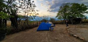 a man standing next to a tent in a field at Hospedaje los polos in Villavieja