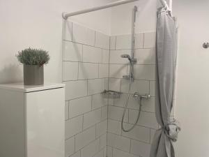 a bathroom with a shower with a shower curtain at Weberhof Apartment 3 in Münster