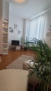 uma sala de estar com uma televisão e um vaso de plantas em Loving My Rooms 2 - delizioso appartamento in centro em Gorizia