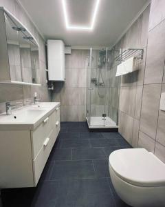 uma casa de banho com um WC, um lavatório e um chuveiro em Bergpanorama Lodge — Alpenidylle em Thaur