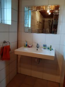 a bathroom with a sink and a mirror at Ruhe und Entspannung in Amesedt