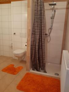 ein Badezimmer mit einer Dusche und einem WC mit einem orangefarbenen Teppich in der Unterkunft Ruhe und Entspannung in Amesedt