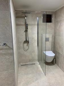 a bathroom with a glass shower with a toilet at Piscadera Bay Resort #16 in Dorp Sint Michiel