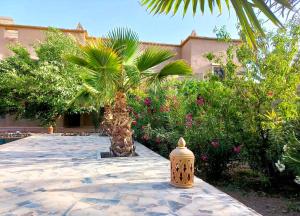 a garden with a palm tree and a building at RIAD AMAN SKOURA in Skoura