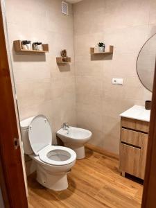 a bathroom with a toilet and a sink at Apartamentos EL PELIGRO 4 EL CIBANCO in Archidona